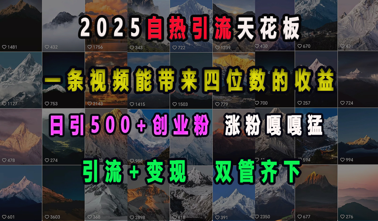 2025自热引流天花板，一条视频能带来四位数的收益，引流+变现双管齐下，日引500+创业粉，涨粉嘎嘎猛-蓝海项目网_项目资源_网络赚钱副业分享_创业项目_兼职副业_中创网_抖音教程